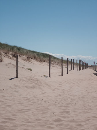 A fence with wooden poles and metal wires at the sandy beach