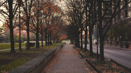 Warm fall pathway in downtown Columbus Arena Districtの写真素材