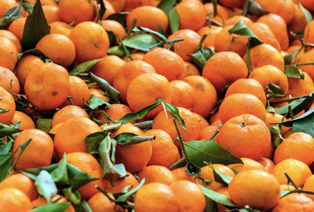 A closeup shot of a pile of tangerines and leaves