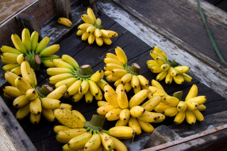 Banana farm in Can Tho area in Vietnam at Mekong river.の写真素材