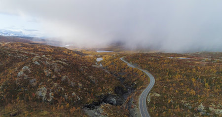 Mountain road in foliage forest, Aerial drone shot overlooking a asphalt route in arctic wilderness, rain clouds background, dark, fall day, in Norwayの写真素材