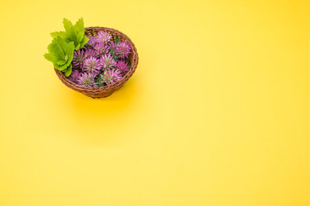 A high angle shot of red clovers in a basket on a yellow surface with space for textの写真素材