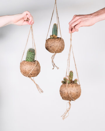 A close up of mini cactus pot hangers isolated on white background