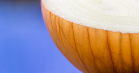 A selective focus shot of an onion on a blue backgroundの写真素材