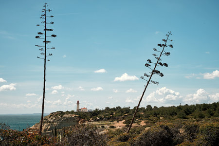 The Ponta da Piedade Lighthouse in Lagos, Portugalの写真素材