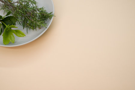 A closeup of a plate with rosemary branch and greens isolated on cream surface for a copy spaceの写真素材