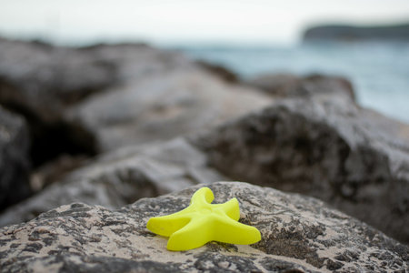 A closeup shot of a seastar plastic sand toy