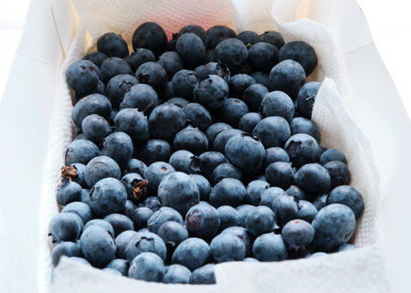A closeup shot of fresh blueberries in a boxの写真素材
