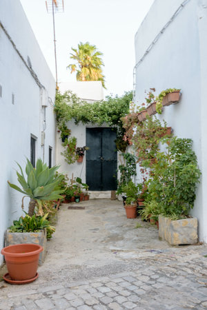 A vertical shot of an alley of old buildings decorated with potted plants in Vejer de la Frontera, Spainの写真素材