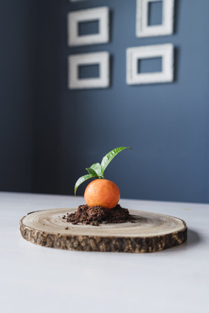 A vertical shot of a mandarin shaped pastry on chocolate biscuit crumbles on a wooden boardの写真素材