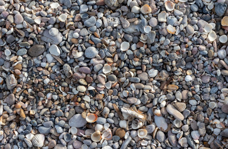 A high angle shot of small rocks on the seashoreの写真素材