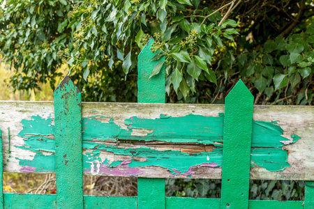 A green paint weathered on the wooden garden fenceの写真素材