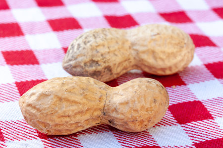 A closeup shot of two peanuts in shell
