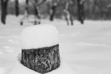 A grayscale shot of a snow cap on a pole at a parkの写真素材