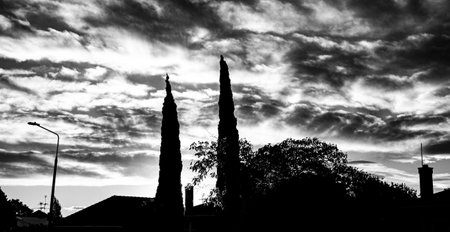 A dramatic and moody shot of trees and houses under a cloudy skyの写真素材