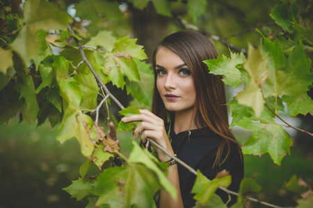 A portrait of a young blonde female posing with tree leavesの写真素材