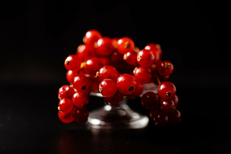 Ways to display red currantの写真素材