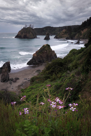 A vertical shot of a beach on a cloudy day in Northern California, USAの写真素材