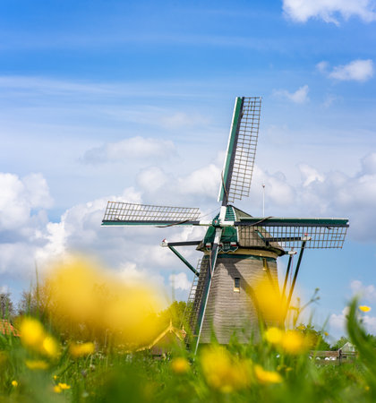 a vertical shot of medieval Vliegermolen windmill in Voorbur,  Netherlands - flowery field foregroundの写真素材
