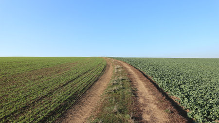 A road in fields leading to the horizon