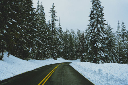 A beautiful shot of an empty road with frosted pine trees on the sideの写真素材