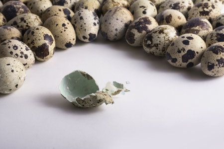 A cracked eggshell next to a pile of quail eggsの写真素材