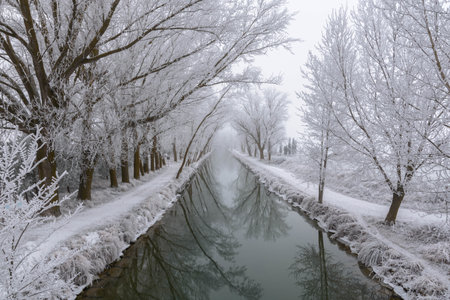 The Castile Canal in winter with a strong frost. Valladolid, Castile and Leon, Spainの写真素材