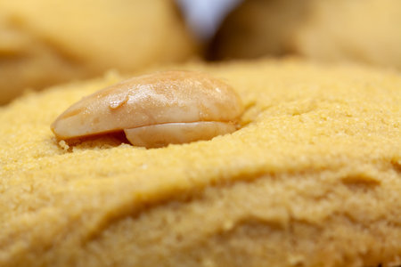 Delicious fresh cookies with nutsの写真素材