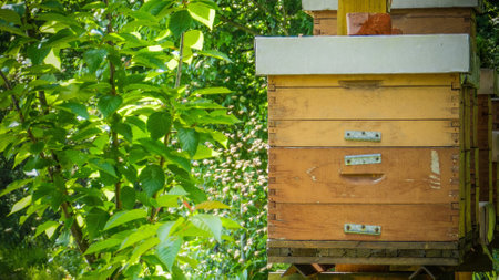 Beautiful spring scenes, hives with bees in nature.