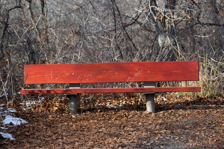 A closeup shot of a red bench in the parkの写真素材