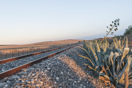 A closeup of a railway track in a deserted area covered in rocks and plants under the sunlight