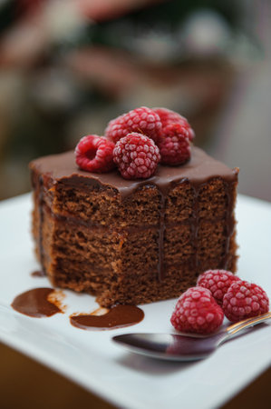 A vertical shot of a chocolate cake with raspberry decorations served on a white plateの写真素材