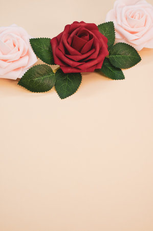 A vertical shot of red and pink roses on a light background with space for textの写真素材