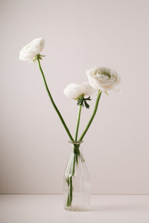 A vertical shot of the white anemones in a vaseの写真素材