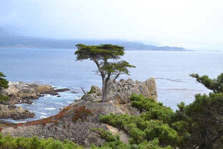 A scenic view of the sea with surrounding landscapes in United States, San Franciscoの写真素材