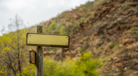 mountain directional sign mockup with spider webs hanging and trees in the backgroundの写真素材