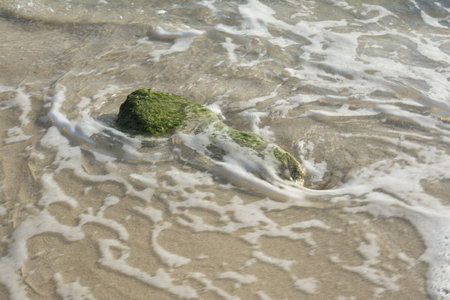 A wave of the sea crashing on a mossy stone
