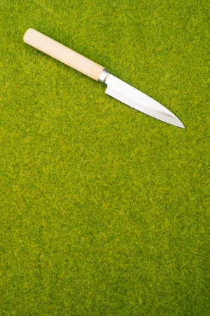 A kitchen knife with a wooden end on a green grass surfaceの写真素材