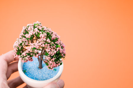 A hand holding miniature cherry blossom bonsai tree on a pot isolated on orange backgroundの写真素材