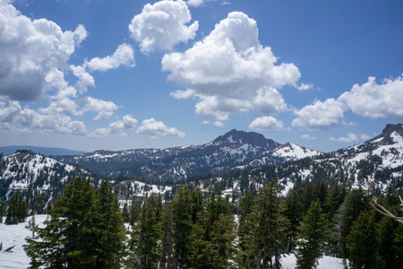 A closeup shot of forested mountains covered in snowの写真素材