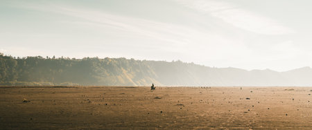 The silhouettes of a man with his horse on the desert in beams of sunlightの写真素材
