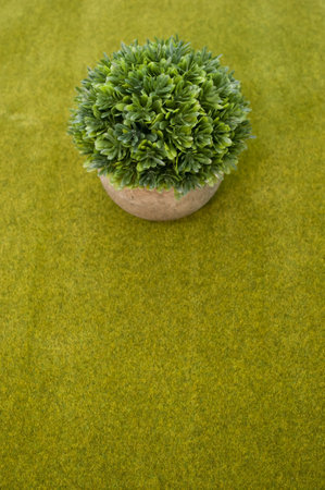 A closeup shot of a green plant in the pot in the grass backgroundの写真素材