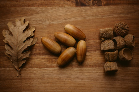 Nice horizontal autumnal background with oak dry leaves, acorns and separate cupules on a wooden tableの写真素材