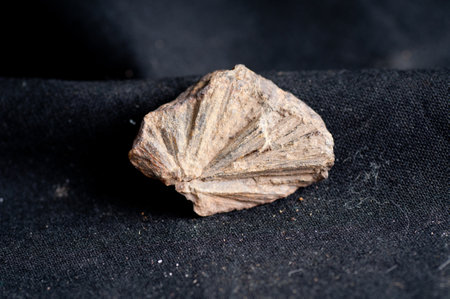 maricite mineral used in sodium ion battery manufacture