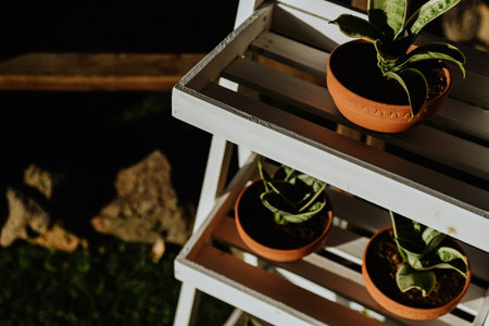 A shelf with plants outdoorの写真素材