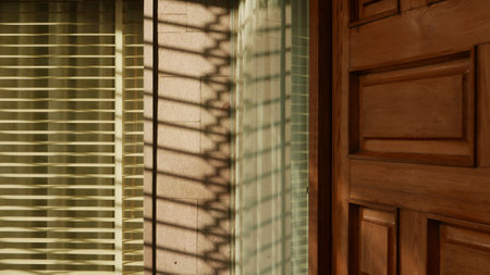 Wooden entrance door with shadow patterns on the wallの写真素材
