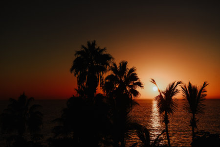 A beautiful orange sunset over the tropical forestの写真素材