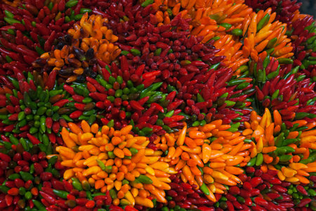 Background of colorful chili peppersの写真素材
