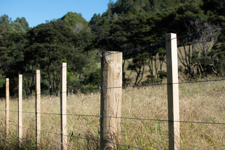 View of wire boundary farm fence with wooden postsの写真素材