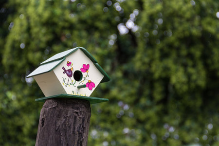 handmade houses for birds hand painted on the tree trunk in spring